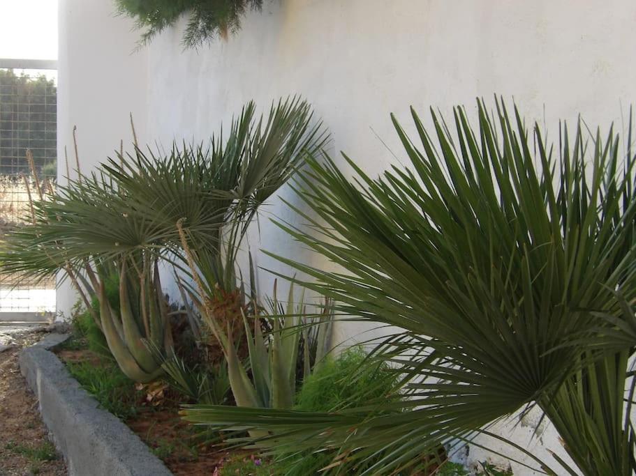 Teo 1 Apartment Gouves Exterior photo